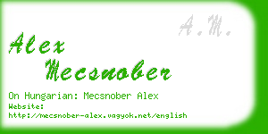 alex mecsnober business card